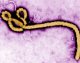Ebola Ebola