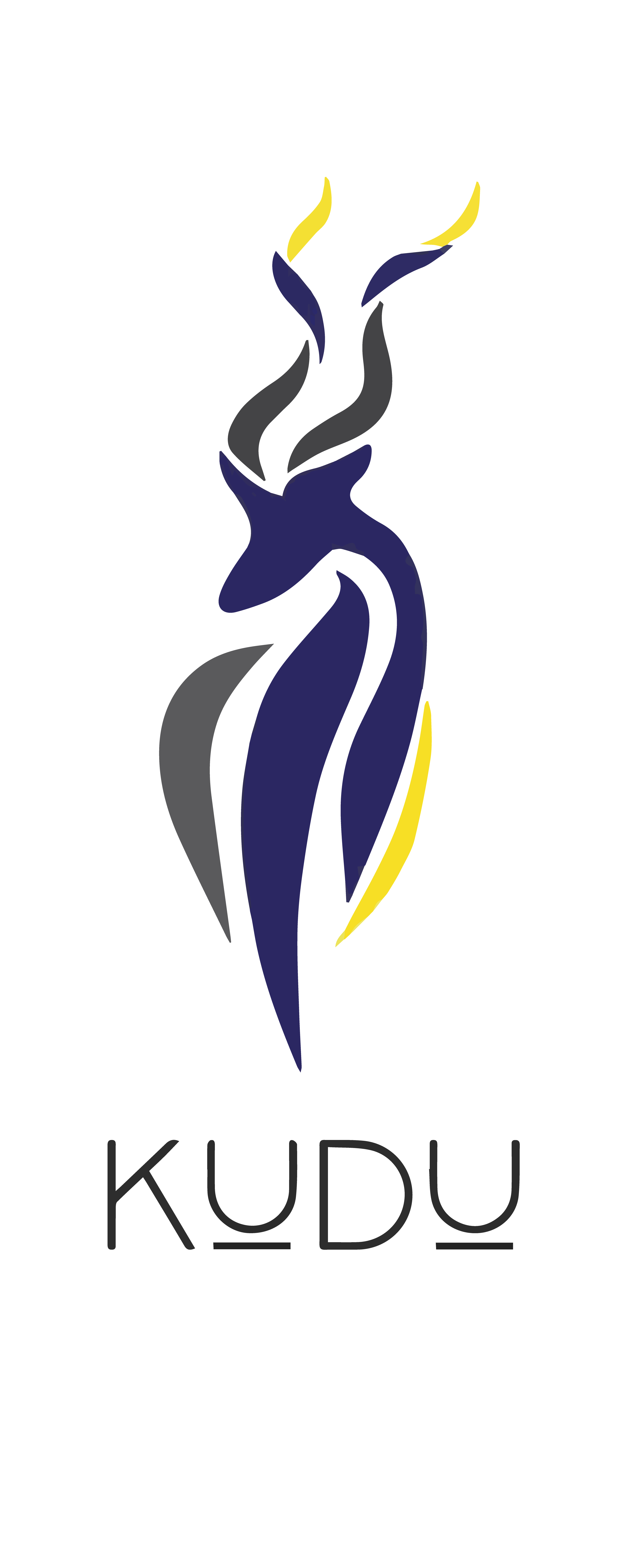 Investment Partner